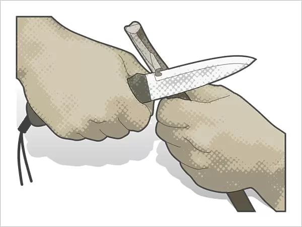 Digital illustration of how to hold knife to remove bark off branch using backhand grip