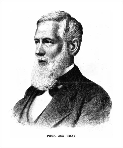 Asa Gray (1810-1888) American botanist