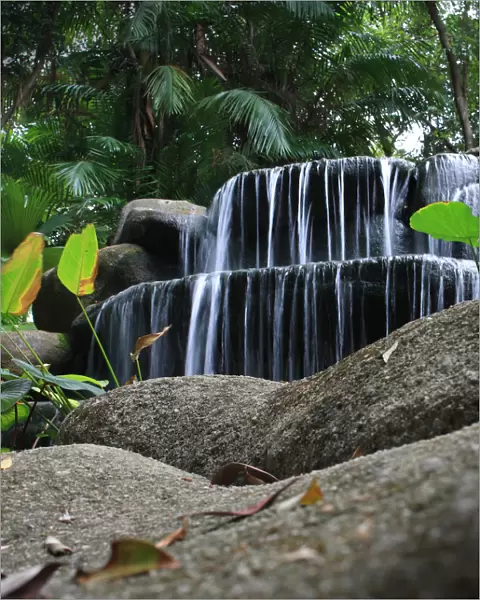 Waterfall Wonder