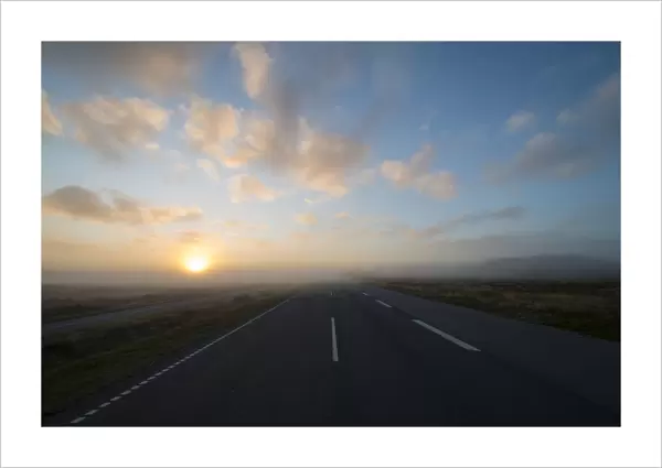 Fog over a country road at sunrise, Henne, Region of Southern Denmark, Denmark