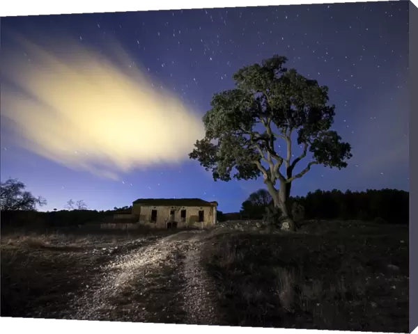 Abandoned dilapidated old farmhouse with a large tree beside it a night sky with stars