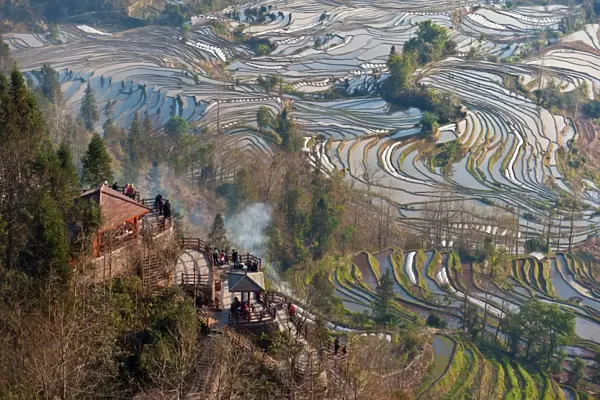 Rice terrace in Yuanyang