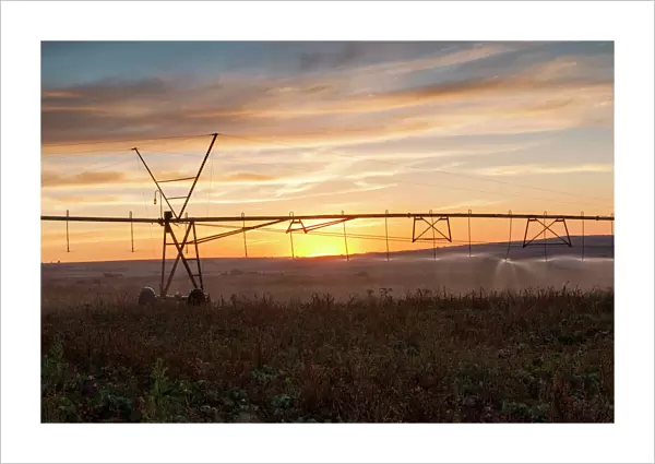 Agricultural Landscape Picture of Center Pivot Irrigation at Sunset on Farm in Magaliesburg, North West Province, South Africa