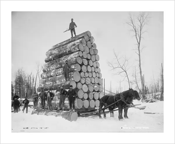 Logging a big load, Michigan, c. 1880-99 (b  /  w photo)