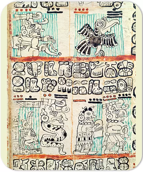 Detail from a Mayan codex (vellum)
