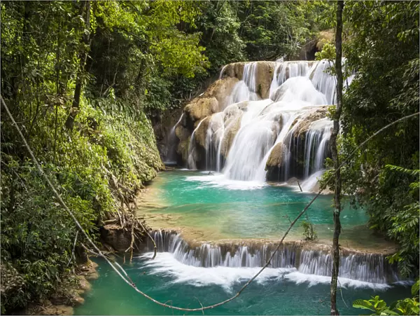 Las Golondrinas Waterfalls, Montes Azules Biosphere Reserve, Chiapas. Mexico, March 2017