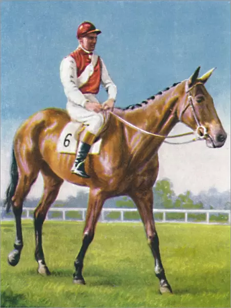 Royal Danieli, Jockey: D. Moore, 1939
