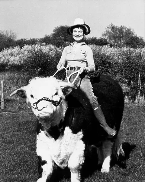 Pamela Noel is taking one of her Hereford bulls for a ride on ther farm near Reading
