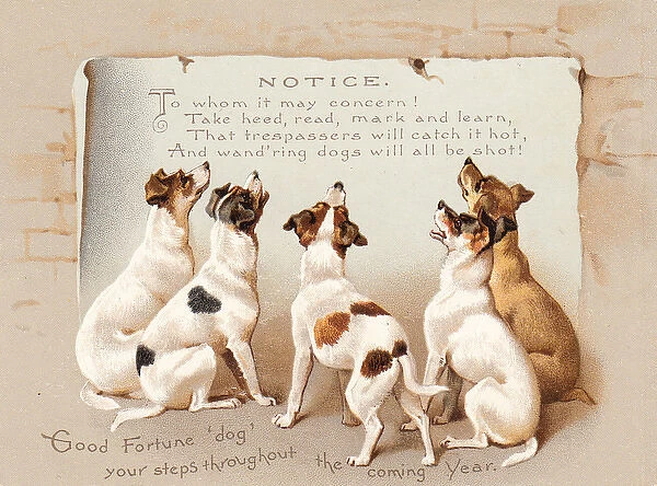 Five dogs reading a notice on a New Year card