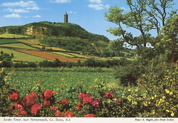 Scrabo Tower near Newtownards, Co. Down, N. I. by E. Nagele