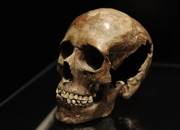 Skull of a young girl. 18-20 years old. 3500-3400 BC
