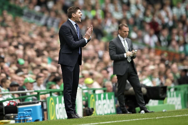 Steven Gerrard's Reaction: Intense Moments at Celtic Park - Rangers vs Celtic, Ladbrokes Premiership