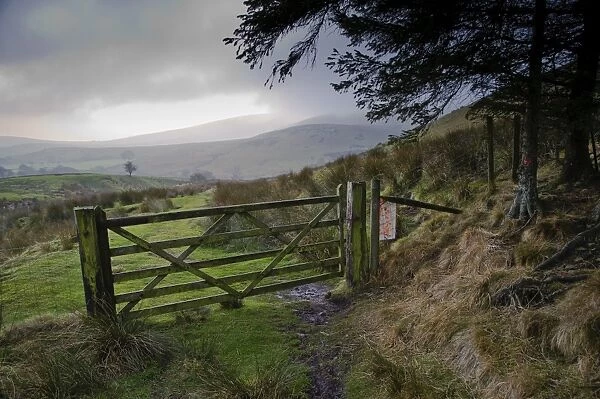 Wooden gate in upland habitat, looking towards Bowland Fells, Higher Fence Wood, Whitewell, Lancashire, England