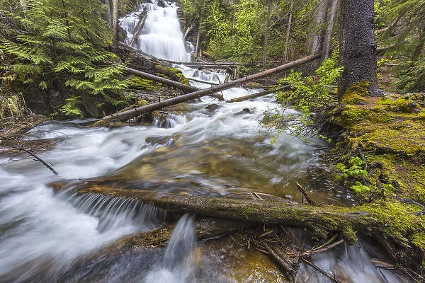Martin Falls in the Flathead National Forest near Whitefish Montana