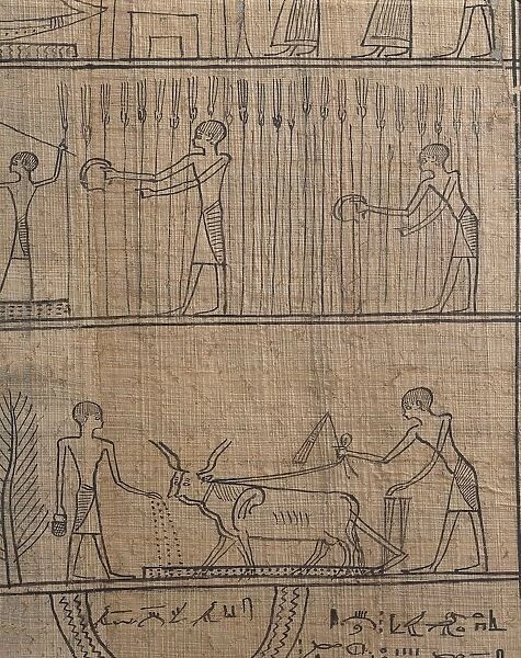 Book of the Dead on papyrus, the priest Iahmes ploughing and harvesting in the Afterlife