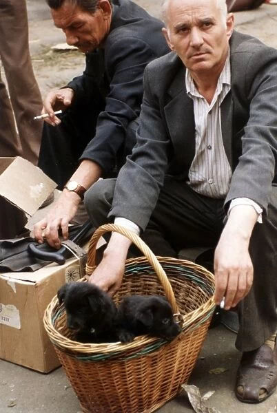 Man selling puppies at a pet market in moscow, 1989