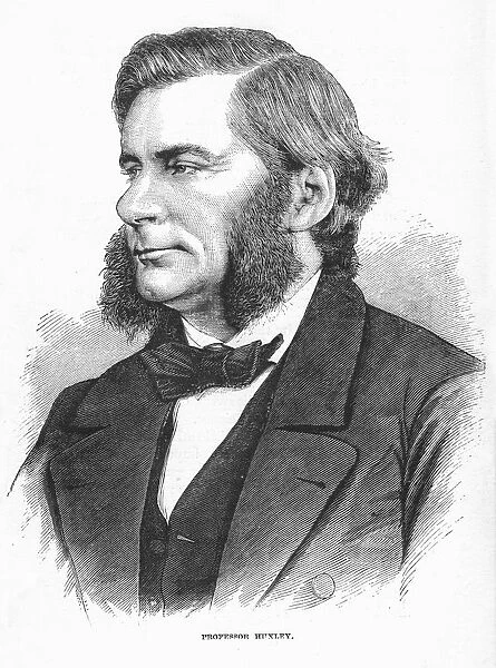 Thomas Henry Huxley (1825-1895) British biologist, supporter of Darwin and evolution