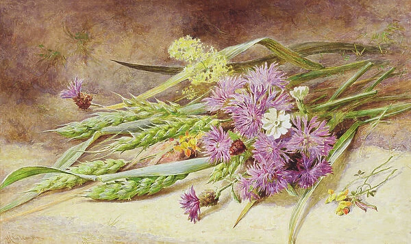 Green Wheat and Wild Flowers (w  /  c on paper)