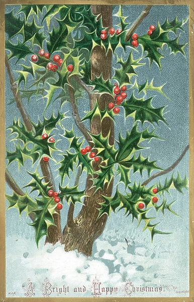 Holly Tree, Christmas Card (chromolitho)