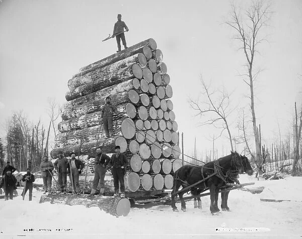 Logging a big load, Michigan, c. 1880-99 (b  /  w photo)