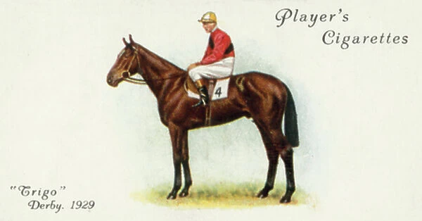 Trigo, Winner of the Derby, 1929 (colour litho)