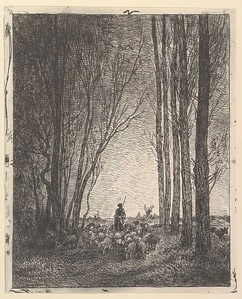 Return Flock 1862 reprinted 1921 Cliche-verre