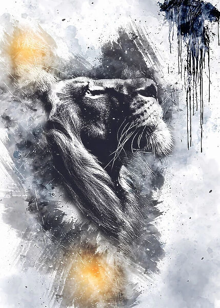 Lion Poster Art 02