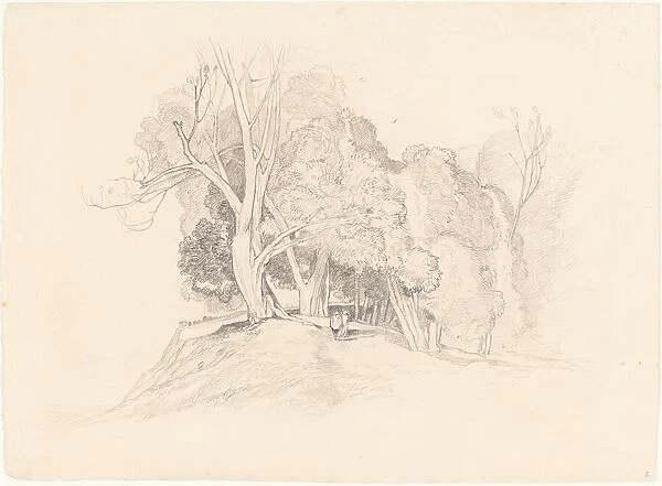 Landscape with Trees. Creator: Unknown