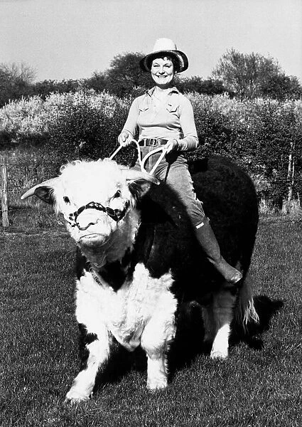 Pamela Noel is taking one of her Hereford bulls for a ride on ther farm near Reading
