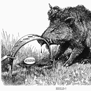 German Boar held at Verdun - Cartoon