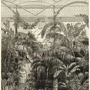 Sights Pillow Collection: Kew Royal Botanic Gardens
