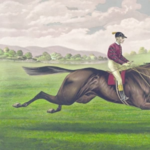 Parole: brown gelding, by Imp. Leamington, dam Maiden by Lex