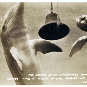 Underwater bell, Marine Studios, Marineland, Florida, USA
