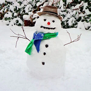 Christmas Collection: Snowmen