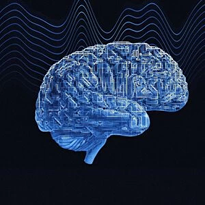 Brain, conceptual computer artwork
