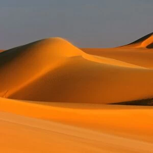 Great Sand Sea, Egyptian Sahara C014 / 1666