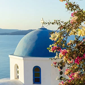 Blue domed white building with colourful flowers in foreground, Oia, Santorini, Cyclades, Greek Islands, Greece, Europe