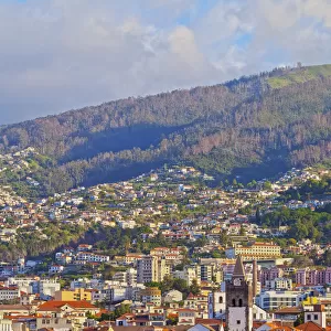 Portugal Jigsaw Puzzle Collection: Funchal