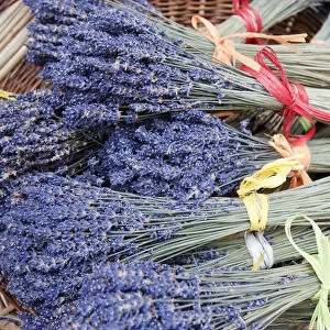 Provence, France. Lavender stalks in a basket in Provence France