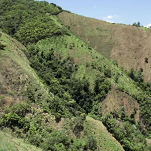 DOMINICAN REPUBLIC: San Juan province. Hillside with deep gullys caused by soil erosion