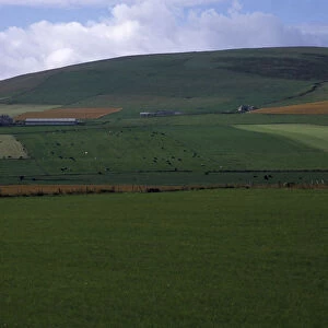 SCOTLAND, Orkney Island, Agriculture Agricultural landscape showing field patterns