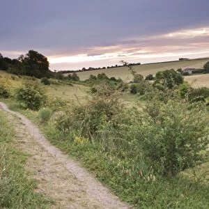 View of path through grassland habitat at dawn, Queendown Warren Nature Reserve, North Downs, Kent, England, july