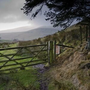 Wooden gate in upland habitat, looking towards Bowland Fells, Higher Fence Wood, Whitewell, Lancashire, England
