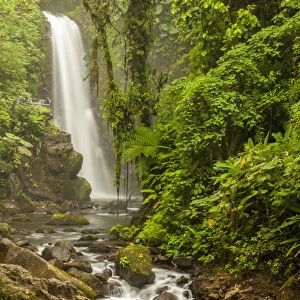 Central America, Costa Rica. Templo waterfall in rain forest