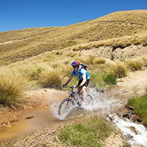 Mountain Bikers, Carrick Track, Carrick Range, Central Otago, South Island, New Zealand