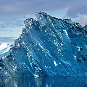 South America, Chile, San Rafael Lagoon NP. Glistening edges of a newly calved iceberg