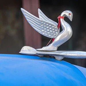 Detail of swan hood ornament usually found on classic American Packard in Vieja