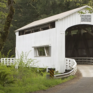 Wild Cat covered bridge, Lane County, Oregon