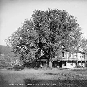 ADIRONDACKS: ELM TREE INN. The Elm Tree Inn in Keene, New York, in the Adirondacks