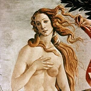 Renaissance art Collection: Famous works of Botticelli
